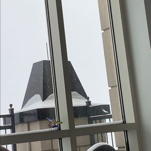 Meet your Posher, Gianna